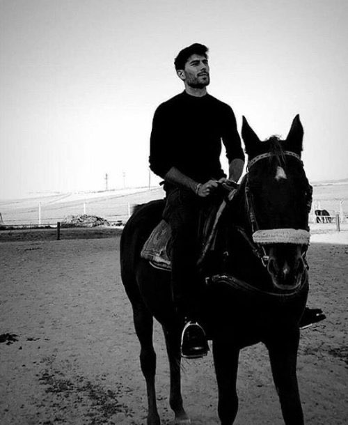 dogan bayraktar hercai serie turca stagione 3
